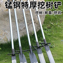 ����P�i��F�@���I�ڹS���������ژ��@�ڜ��z�^����������⹤��