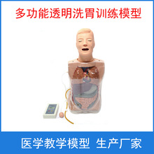 多功能透明洗胃训练模型鼻饲洗胃术止血吸痰胃镜检查操作人体模型