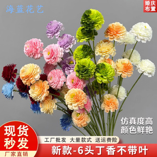 ����6�^���㻨��c�����b��滨��Y�ò廨�����û�ѩ�����ٻ�
