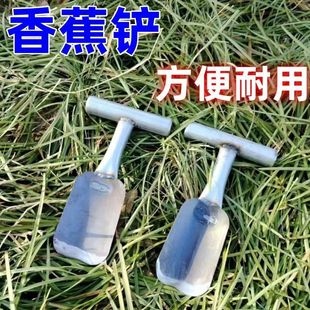 [strict selection] shovel banana knife banana shovel special shovel banana
