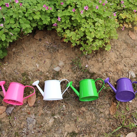 Foreign Trade Candy Flower Pot Mini Watering Pot Iron Flower Vessel Home Decoration Small Barrel Flower Arrange Flesh Planting Potted Plant