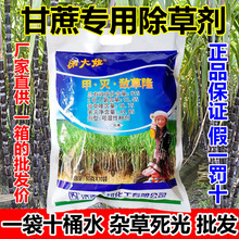 81%ל申¡󌣳݄ݬƷl