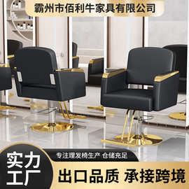 美发椅美发店发廊专用椅子理发店可旋转升降沙龙椅子美容椅美发椅