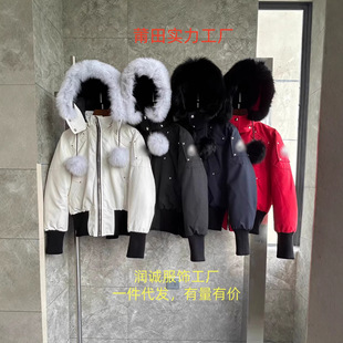 ����߰汾�羳Moose������q��3Q����ë03������ô�Ů�b��
