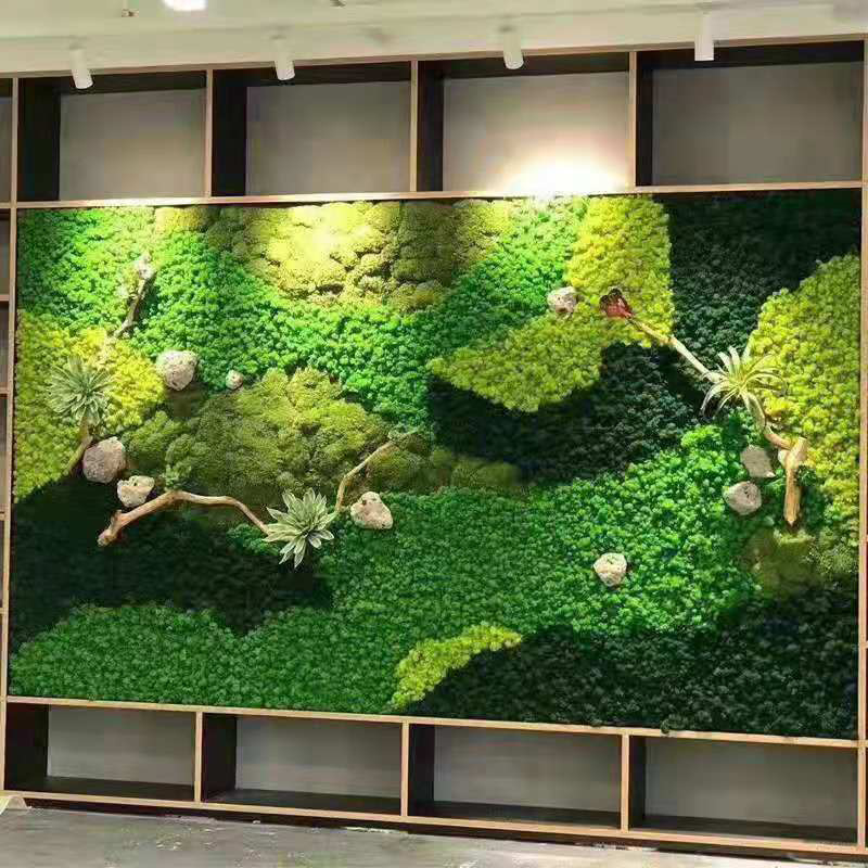 Musgo eterno ciervo musgo planta pared paisaje musgo ventana interior decoración micro paisaje eterna flor musgo