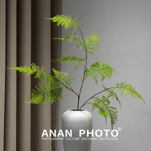 ��������������~�Gֲ��ֲ��廨��ˇ��ꐻ��Ĳ�˹ާ�������b�