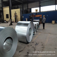 l 1060X 1060X ܵXƤ 0.3 0.5 0.6 0.8 XƤ