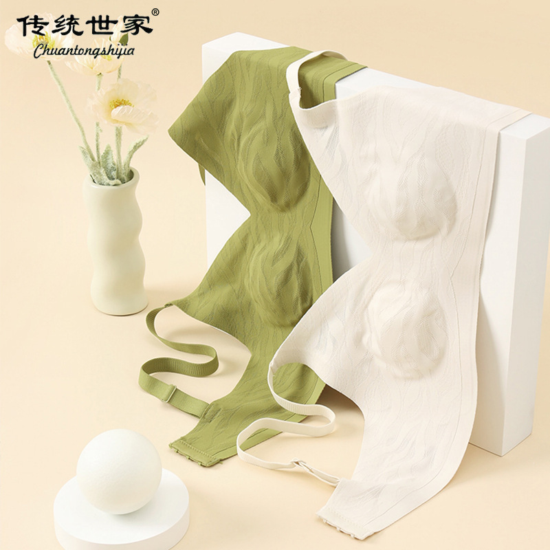 旅行服の大きい胸は小さい胸の下着の女性を現します。|undefined