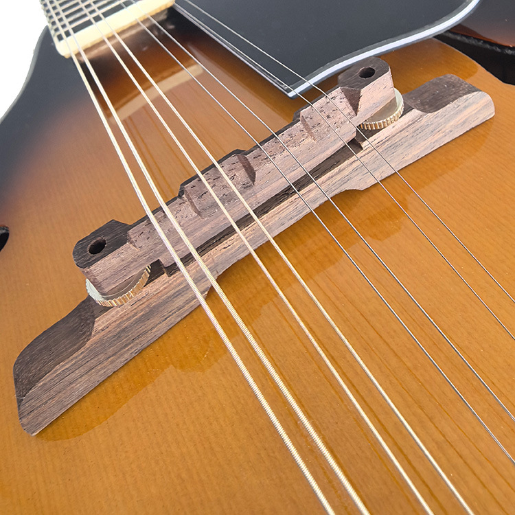 Musical instruments, ethnic guitar, for beginners