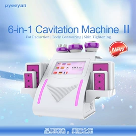 电子美容仪;面罩美容仪;其他美体瘦身