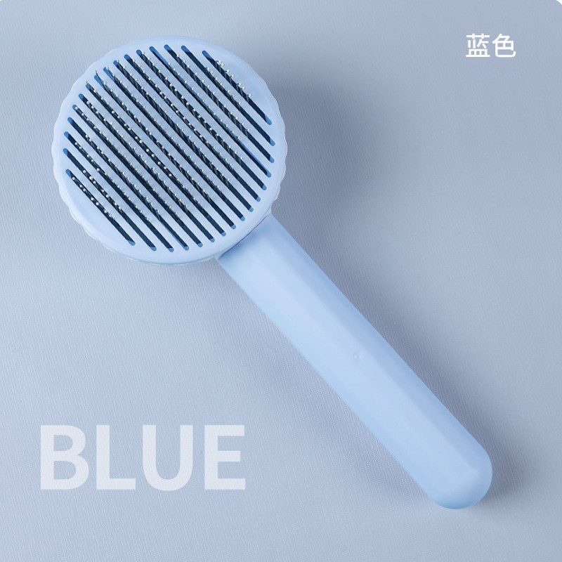 파란색과 흰색