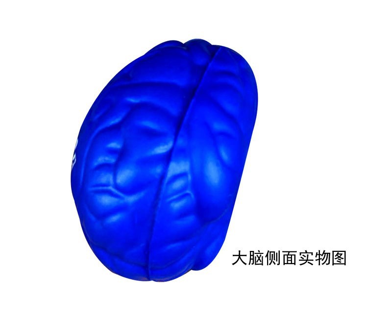 PU espuma rápida rebote imitación cerebro juguete agarre bola descompresión cerebro extrusión descompresión EVA juguete LOGO impresión