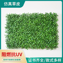 ����ֲ����m��Ƥ��ȼ��UV�����b�����Gֲ��������ֱֲ��