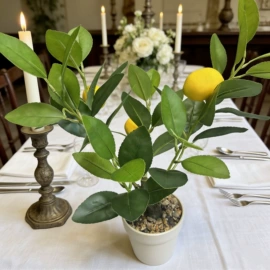 仿真果蔬;仿真花;仿真绿植