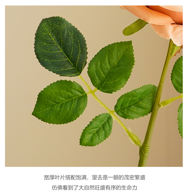 慕斯单枝朵尔玫-米黄_14.jpg