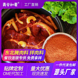 腌肉料拌肉料东北烤肉煨腌料商用批发大规格装鲜肉嫩肉去腥提香