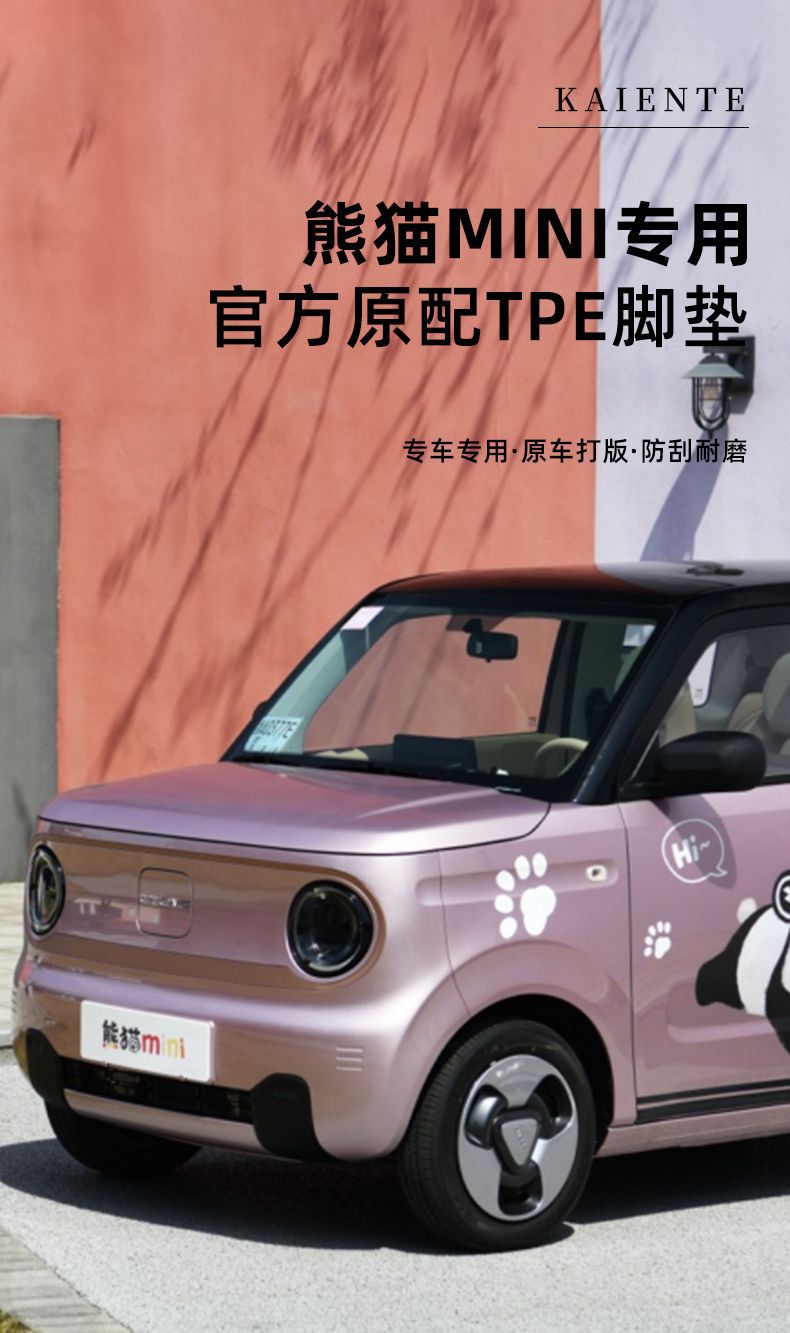 Suitable for Panda MINI Foot Mat Surrounding TPE Car Foot Mat Cardin 2024 Panda Knight Main Driving Foot Mat