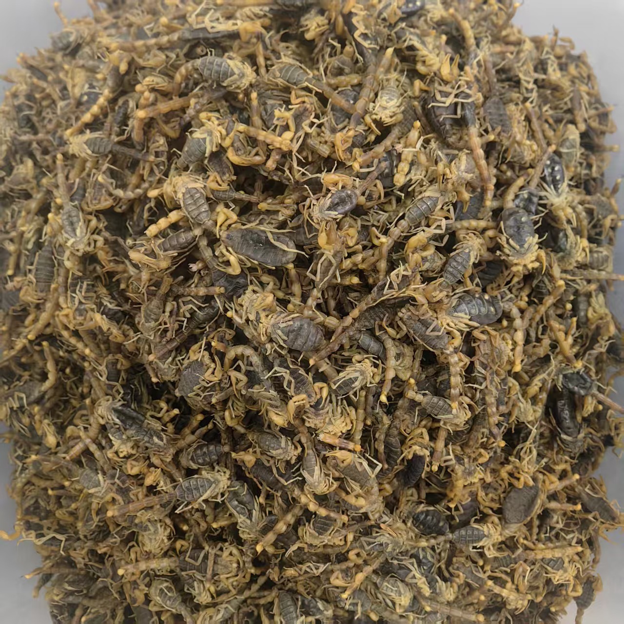 Dried Whole Scorpion Quan Xie 清水全蝎 Buthus martensii Whole Body Traditional TCM Herb 100g quality and texture