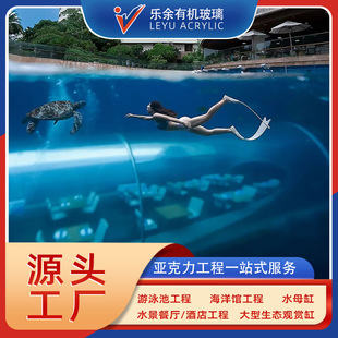 ���������^���״����~�ׁ�����չ�[չʾ�����~���OӋʩ���S�oһ�w