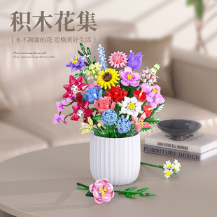 �����ֵܷeľ�r��΢�w�����ģ�̓�ͯ������Ů��ƴ�D�Y��