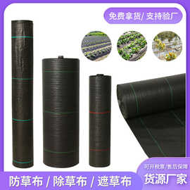 亚马逊现货抗老化农用防草布加厚透水透气果树防草布除草园艺地布