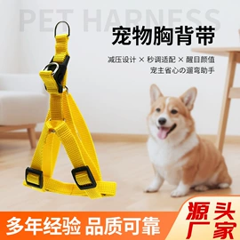 行李带;狗狗牵引;证件卡、挂绳