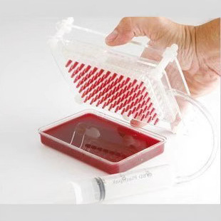 スペインの魚の子のジェネレータの分子の美食のツールのアイデアの料理道具の魚の箱の魚の子の製作器|undefined