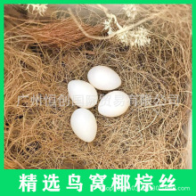Ҭ�z����辰���ݻ��������bݽz�B�C�ݸCҬ�z�|������Ҭ�ؽz