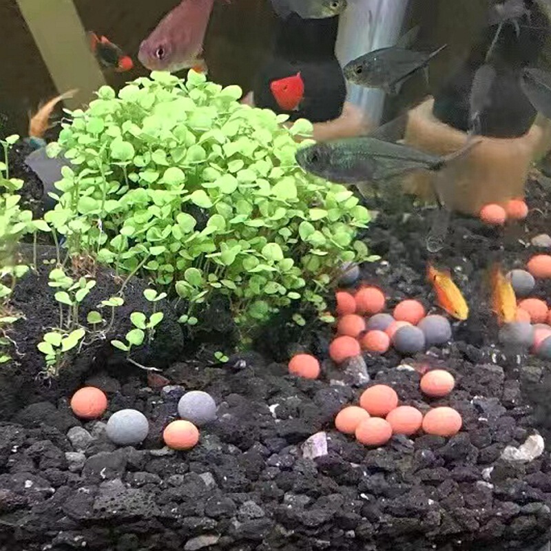 水槽水晶エビ水槽電気石麦飯石球水族浄水殺菌消毒装飾フィルタボール|undefined