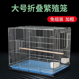 ��Ƥ�W�^�B�\�д����僰˸�ĵ�����P�Ӵ��Bֳ���ٷ�ֳ�B�\���B��