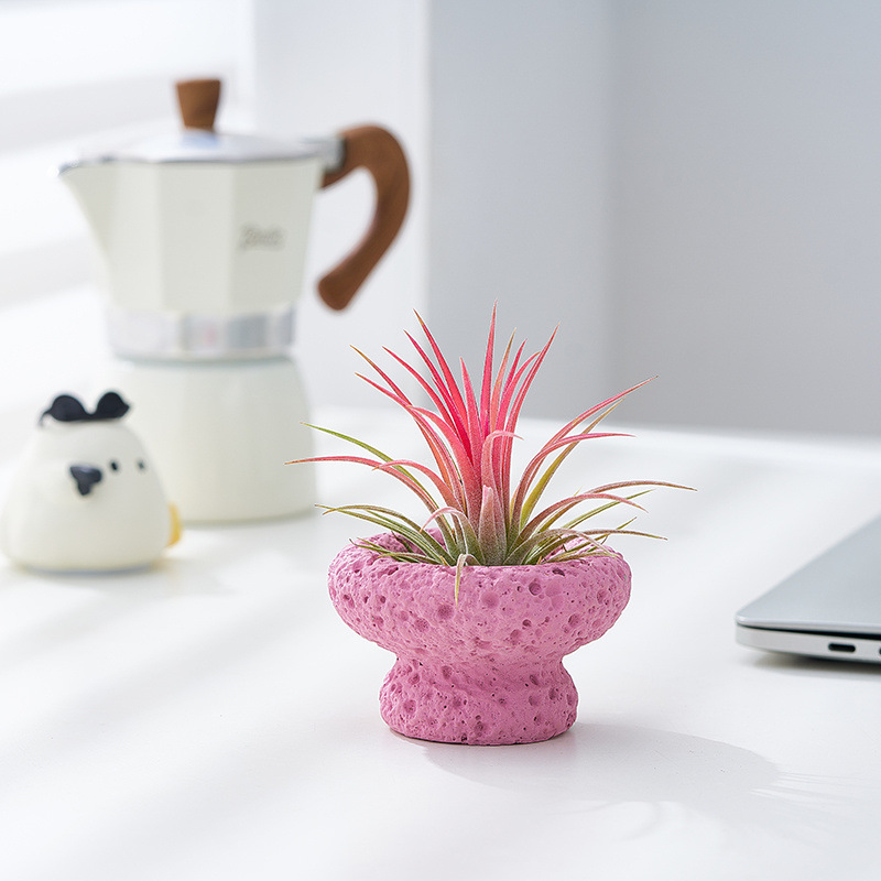 4943febe-1bf1-498c-8362-0c204d585dc1.jpe