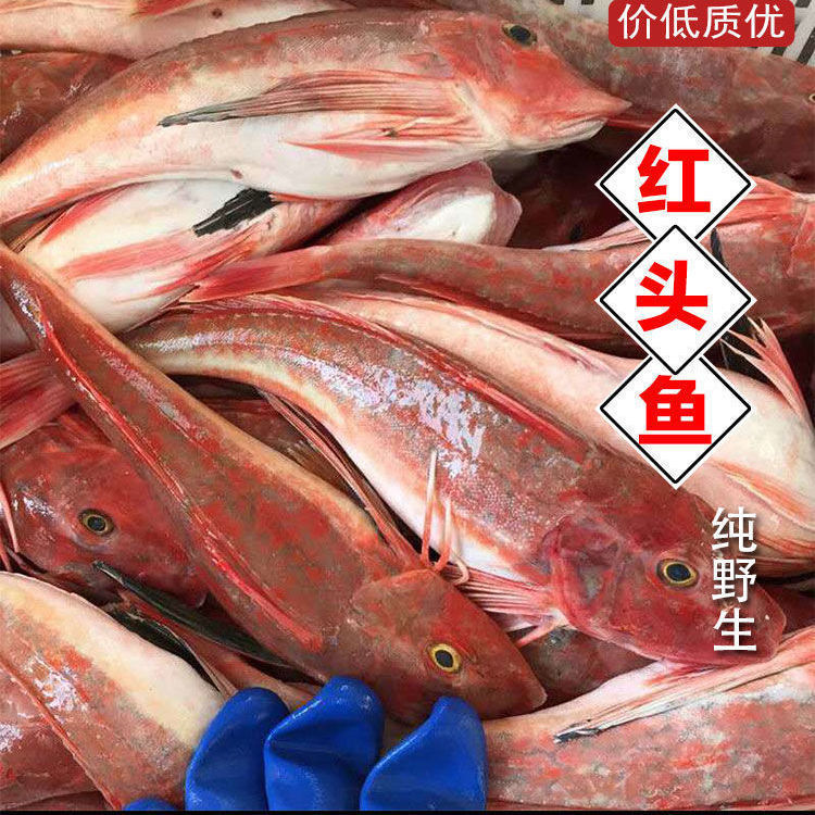海捕红头鱼红娘子鱼红绣鞋红鱼海鱼海鲜水产鲜活生鲜豆腐鱼海杂鱼