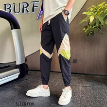 2026�¿�ƴ��Ʀ�����e�Lѝ����͸�����_ѝ��ʿ�n�泱�Ƴ��K����ѝ