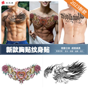 2025�¿��^�������l���N�y���N�󱳴������D�N���y���N���N