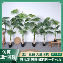 仿真新款蒲葵 扇葵树北欧风假绿植圆叶蒲 装饰摆件落地室内盆景