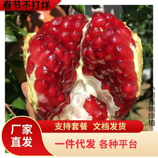 һ�����l������ľ���lͻ��˹ܛ��ʯ�����޽�ʯ�����������Ե�