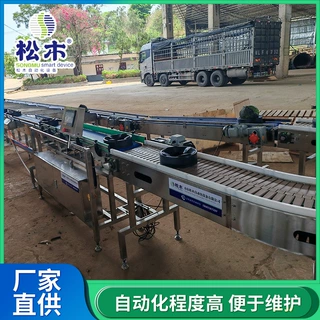 山东松木自动化设备有限公司西瓜哈密瓜重量分选机果蔬称重分级秤