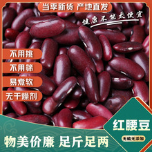 新货红腰豆云南大红豆农家自产红芸豆半斤五谷杂粮煲粥酸菜红豆