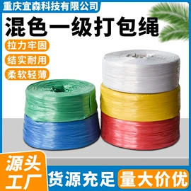 捆绑带;捆扎绳;结束带