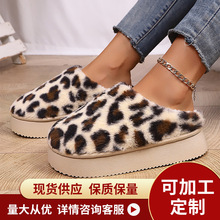 2025�羳�¿���ëëЬ �������y���e��ů���ëëЬ��Ь���l