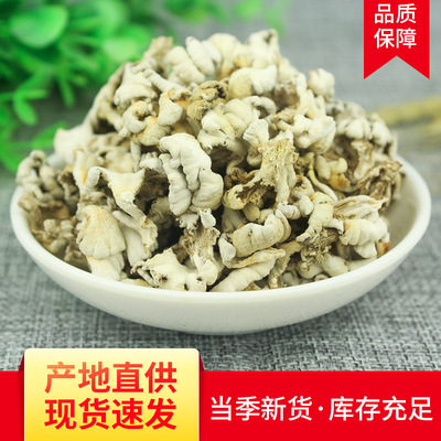 Yunnan White Ginseng bacteria edible dried food Mushroom bulk wholesale dried food White Ginseng bacteria