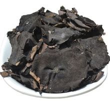 șʯ ҹ ʯľ ʯڻ ض |C]