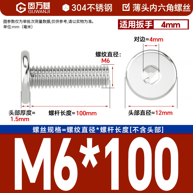 304 M6*100