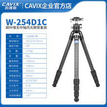 CAVIX/W254C+D30ıyoSzӰz̼wS_b