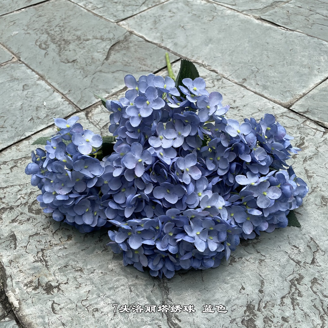 9 #7 Lolita Hortensia azul