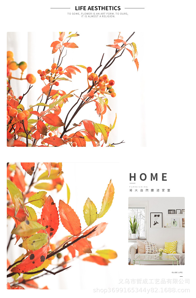 O1CN011UvmNw1Fz9GuIWVmU_!!9481