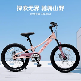扭扭车;滑行玩具;山地自行车