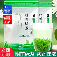 明前绿茶新茶浓香型茶叶散装毛尖批发碧螺春茶袋装资质齐全