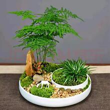 ��Ʒ���]�մ��бP��С̖�A�κ��s�������Խ�ˮ�P���û�������бP