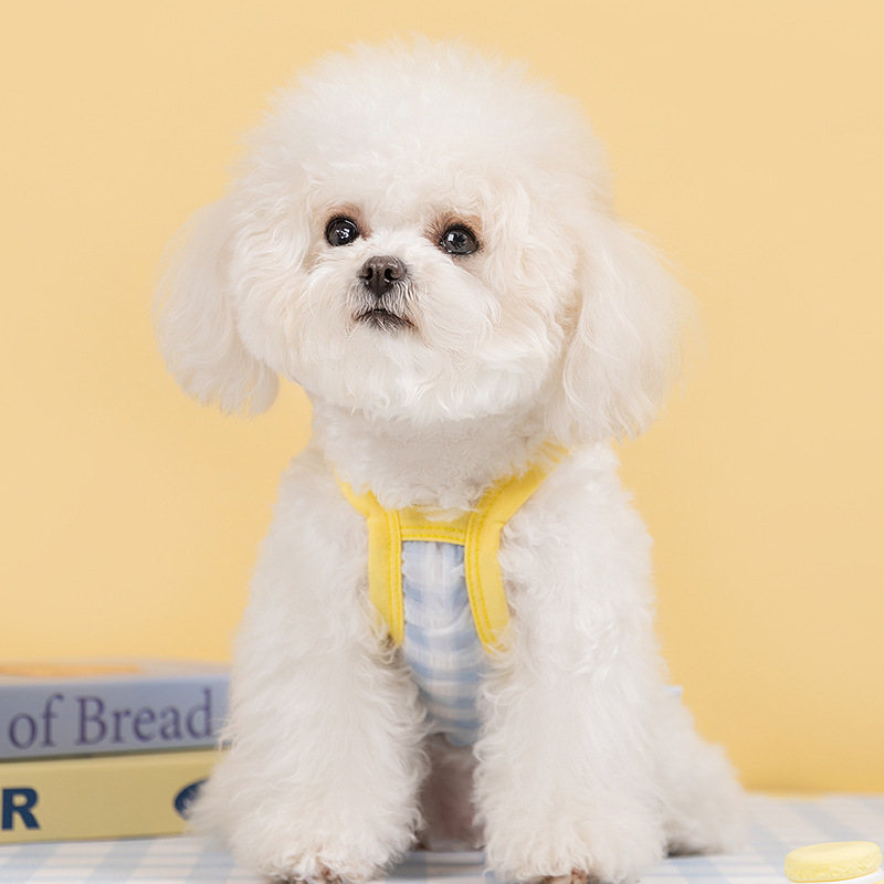 Primavera y verano perros lindos dibujos animados perros pequeños y medianos falda de caballo gato dos pies vestido de mascotas ropa de perro
